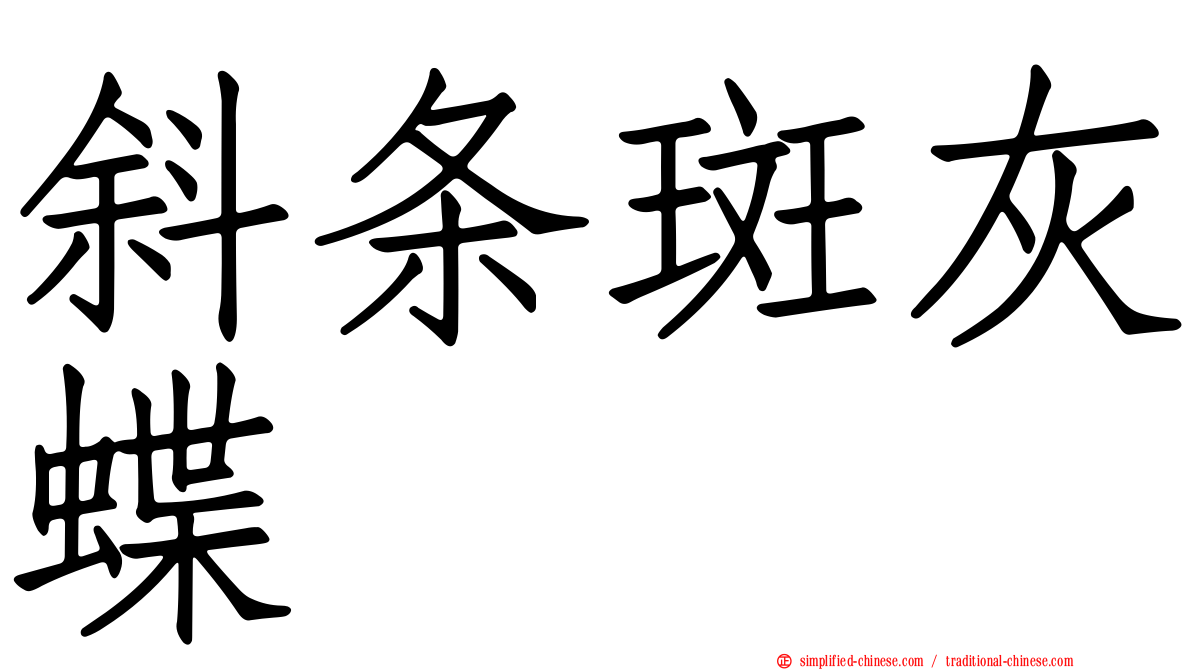 斜条斑灰蝶