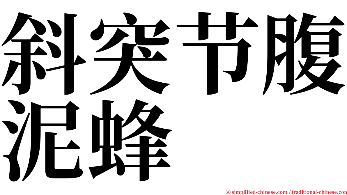 斜突节腹泥蜂 serif font