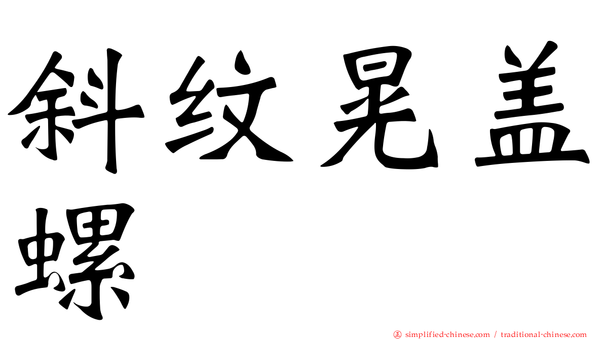 斜纹晃盖螺