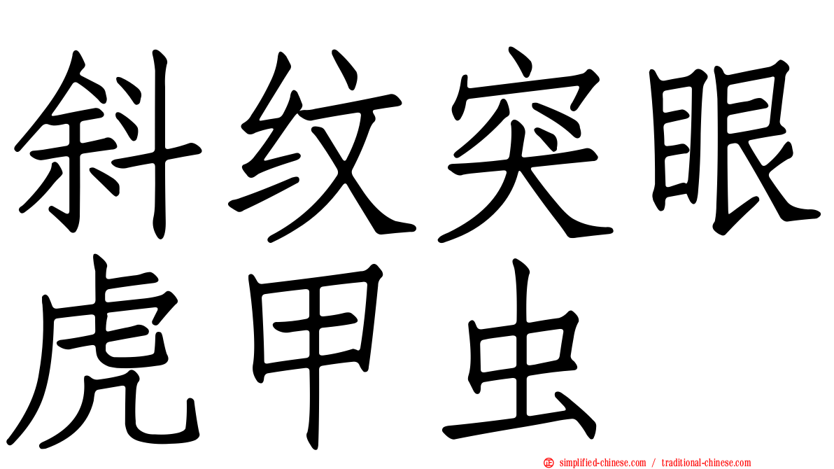 斜纹突眼虎甲虫