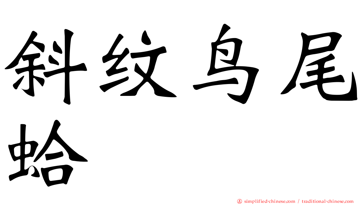斜纹鸟尾蛤