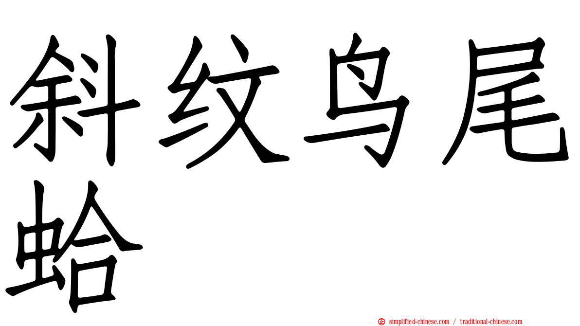 斜纹鸟尾蛤
