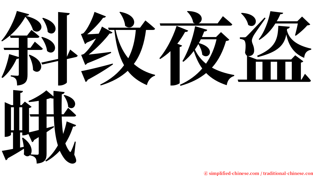 斜纹夜盗蛾 serif font