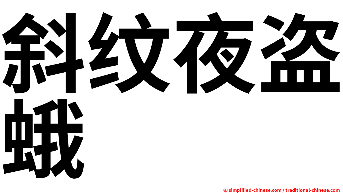 斜纹夜盗蛾