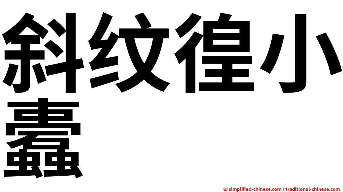 斜纹徨小蠹