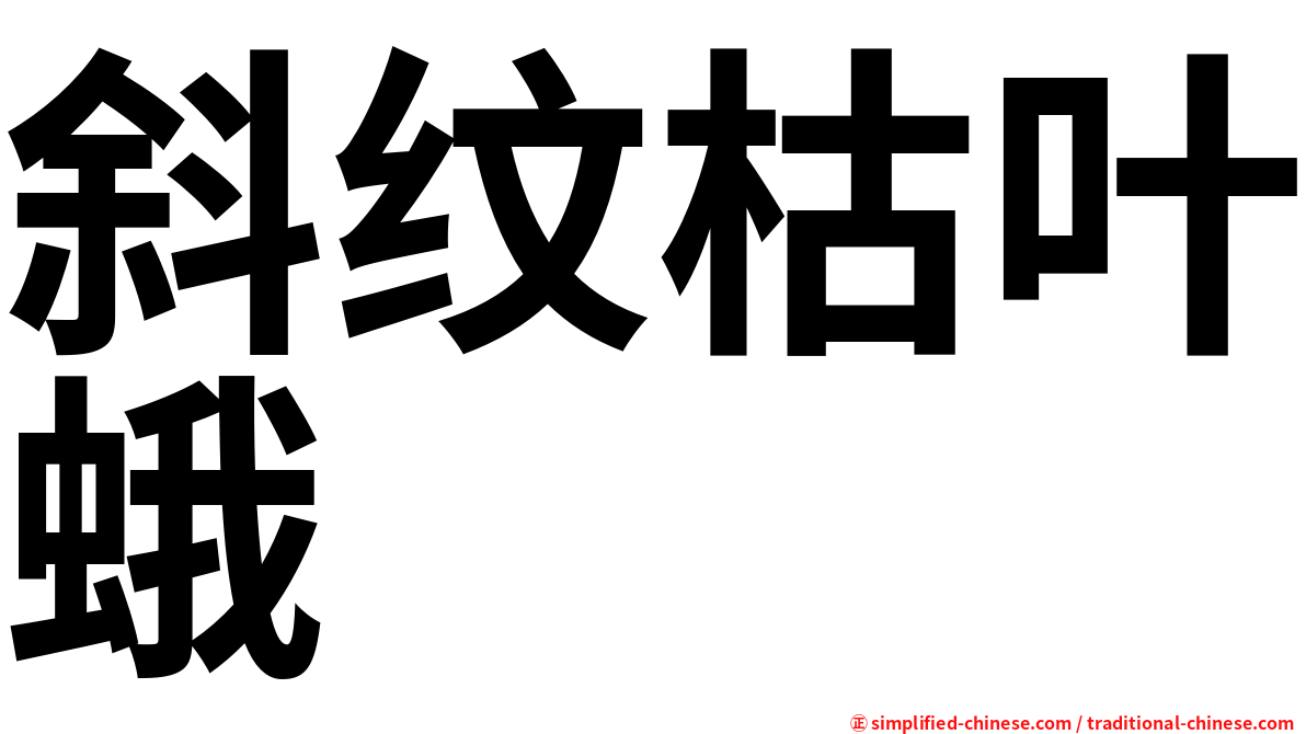 斜纹枯叶蛾