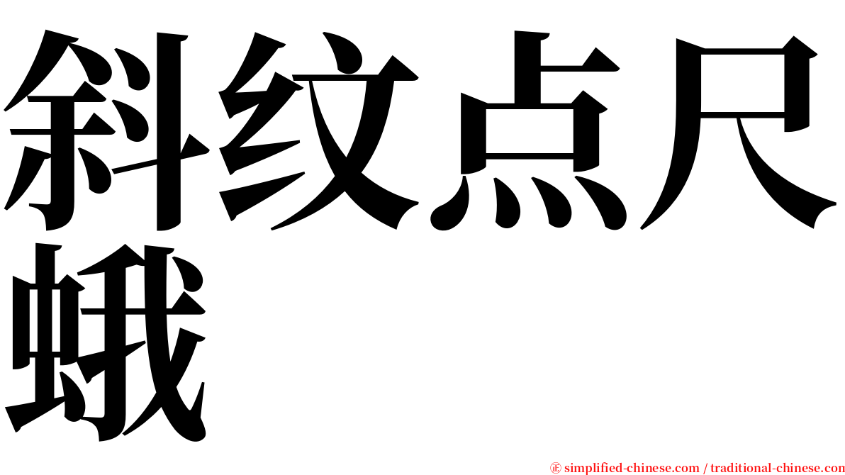 斜纹点尺蛾 serif font