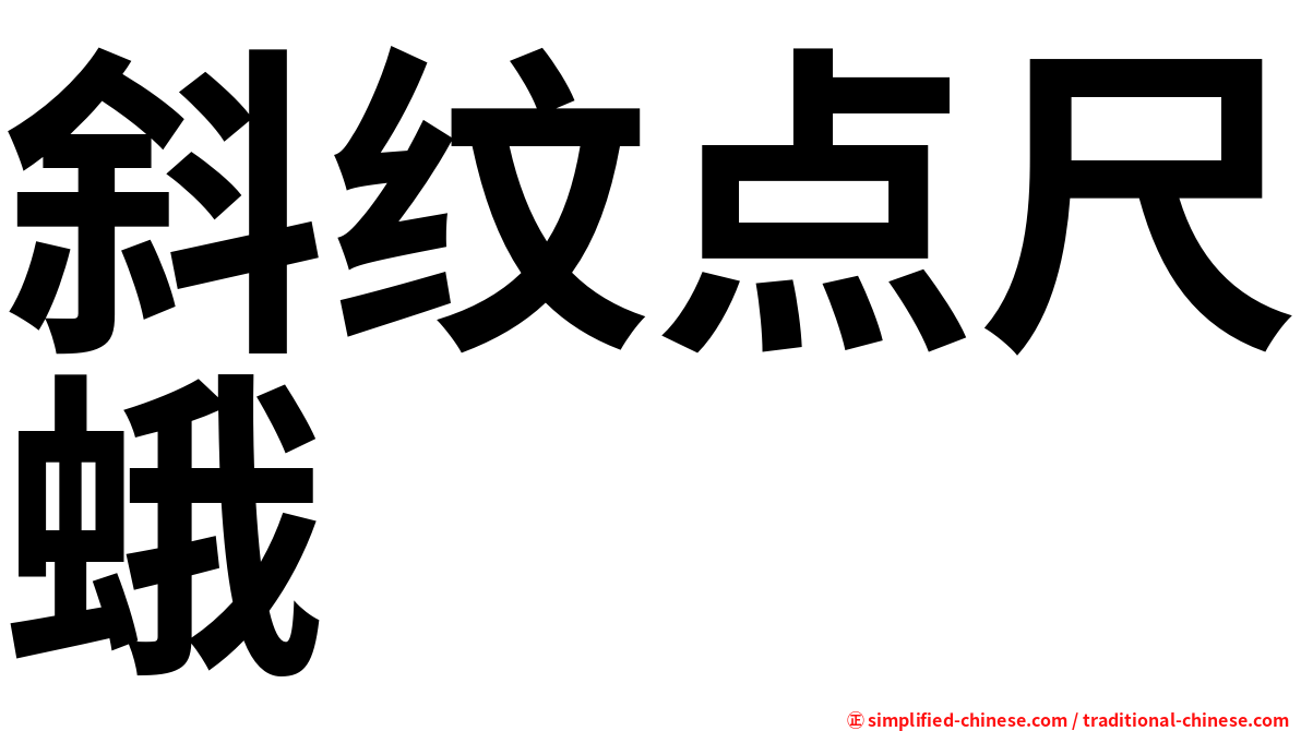 斜纹点尺蛾