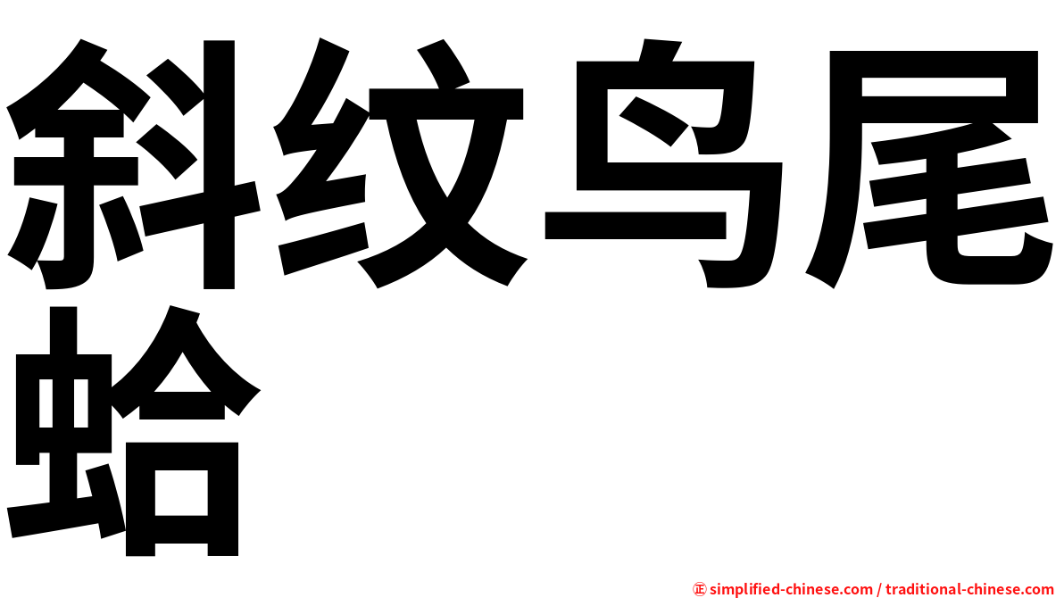 斜纹鸟尾蛤