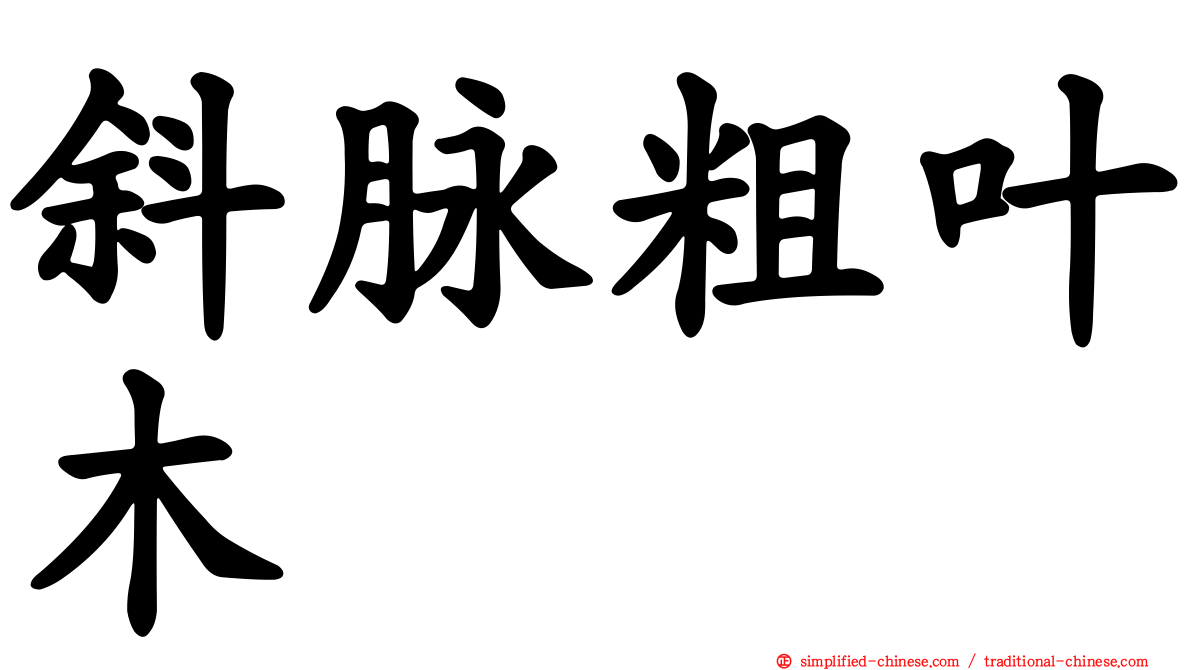 斜脉粗叶木