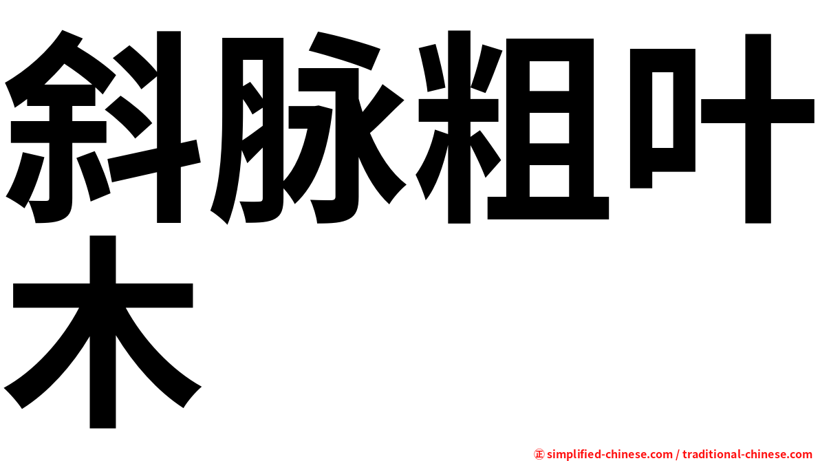 斜脉粗叶木