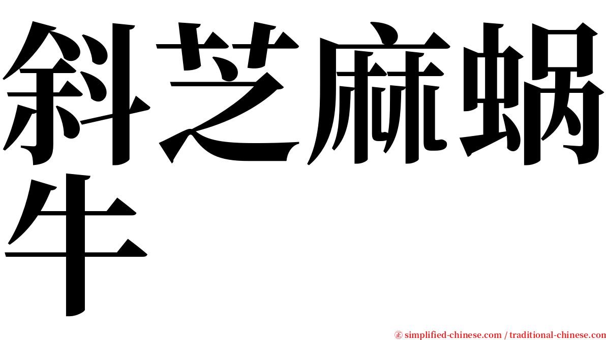 斜芝麻蜗牛 serif font