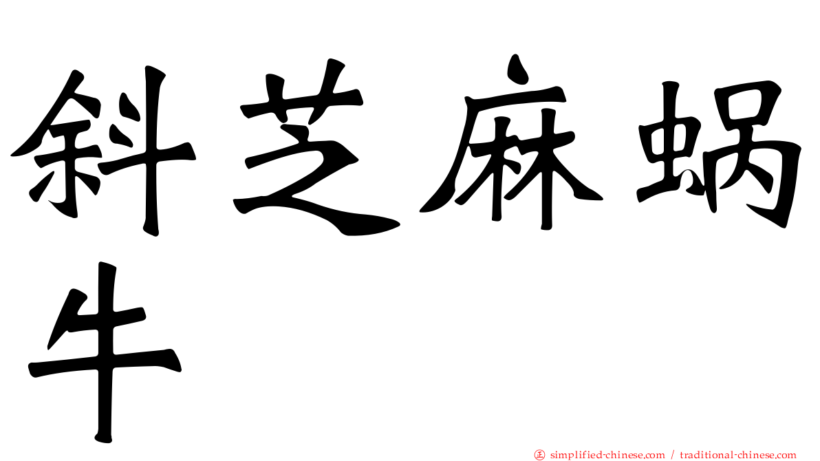 斜芝麻蜗牛
