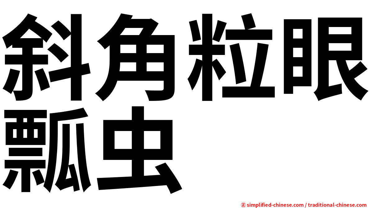 斜角粒眼瓢虫