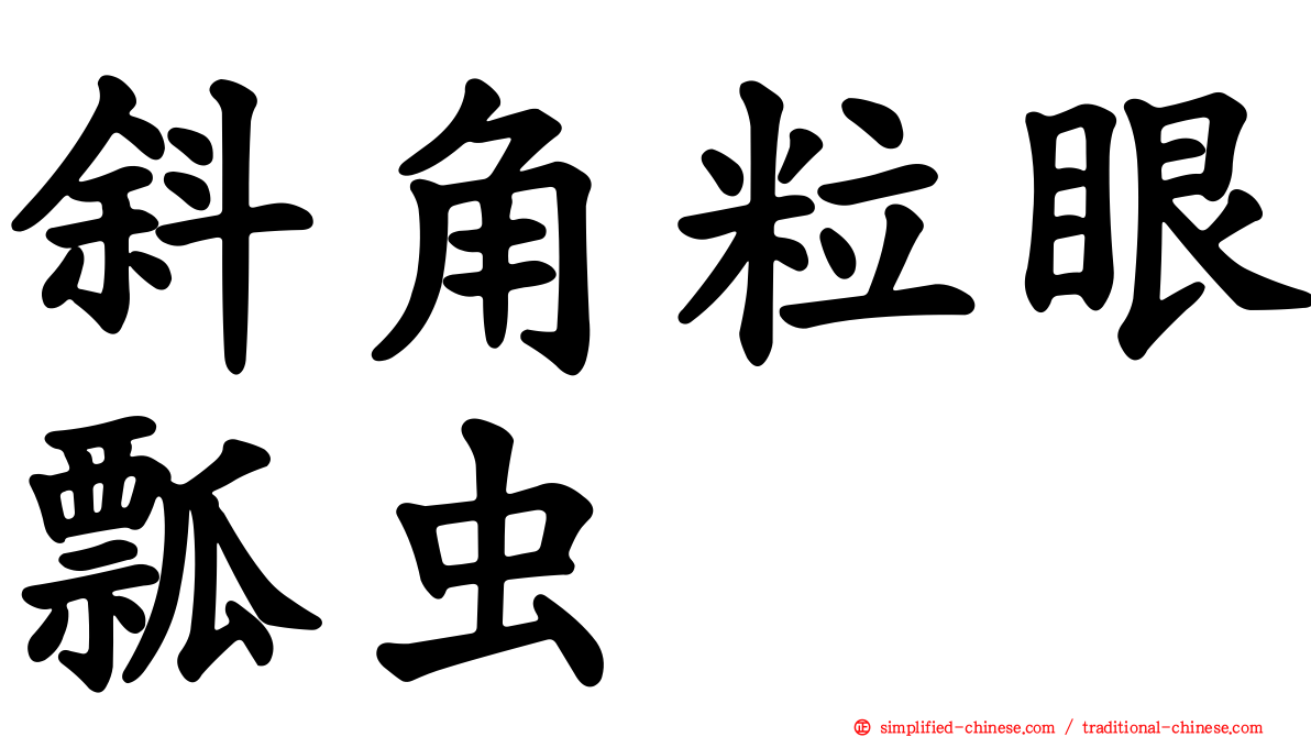 斜角粒眼瓢虫