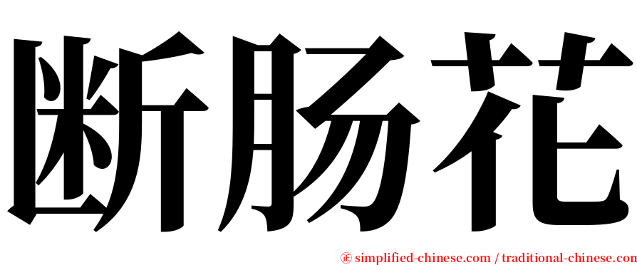 断肠花 serif font