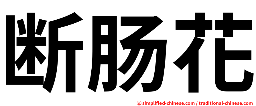 断肠花