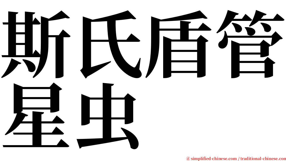 斯氏盾管星虫 serif font