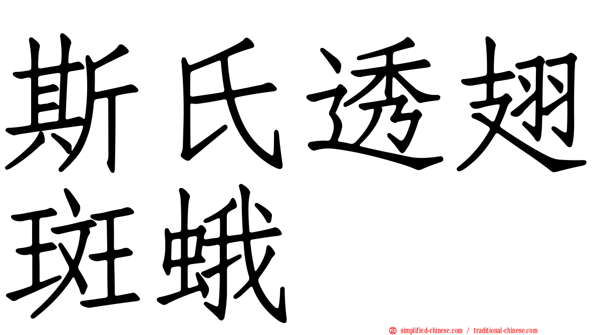 斯氏透翅斑蛾
