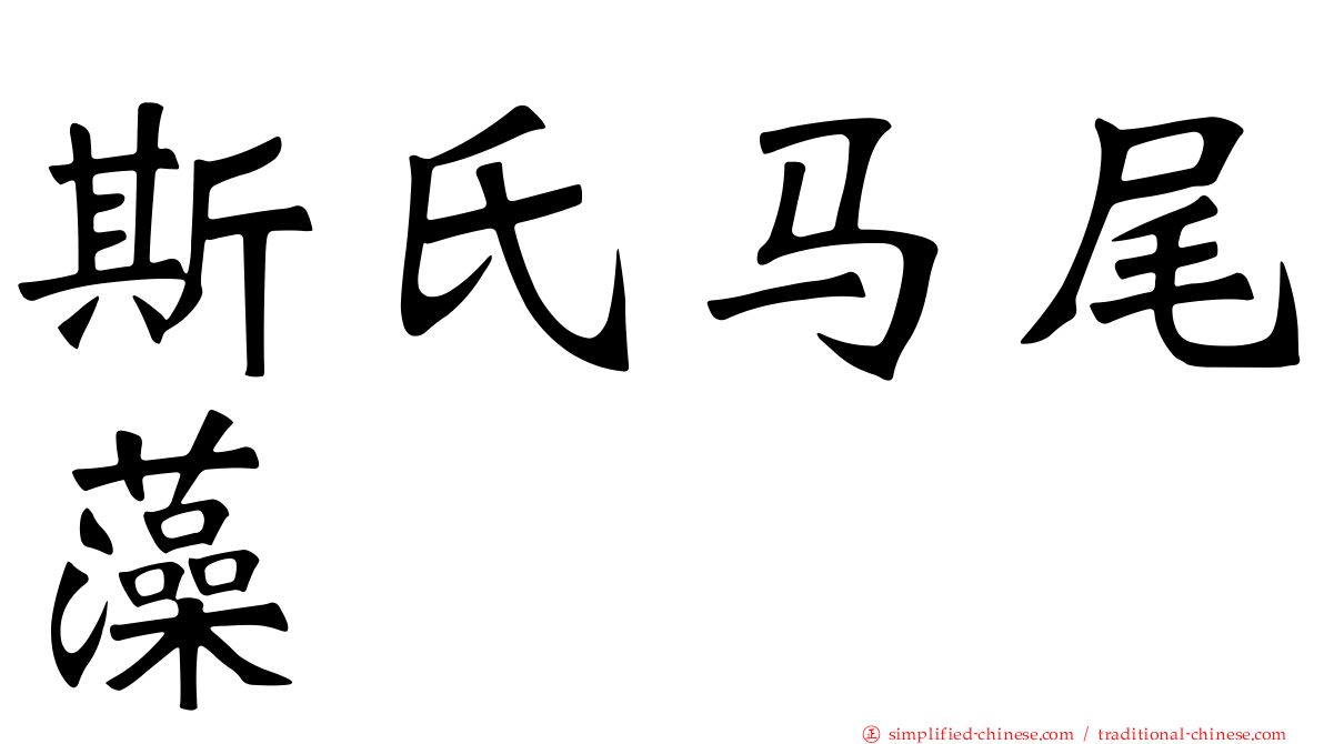 斯氏马尾藻