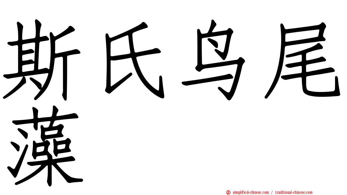 斯氏鸟尾藻