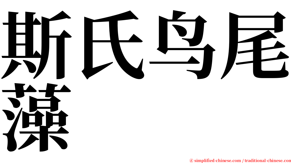 斯氏鸟尾藻 serif font