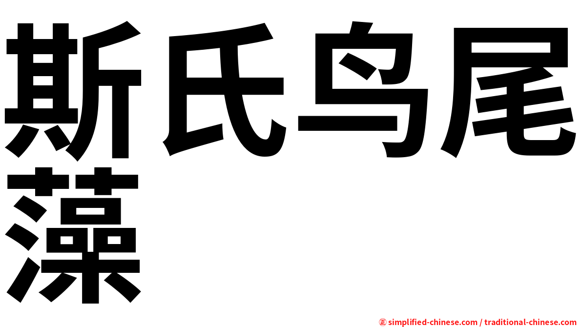 斯氏鸟尾藻