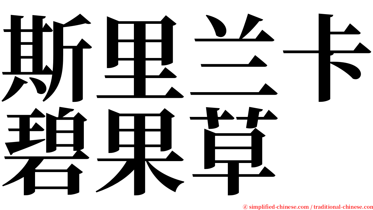 斯里兰卡碧果草 serif font