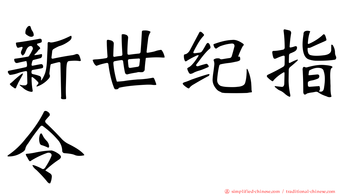 新世纪指令