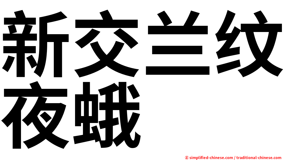 新交兰纹夜蛾
