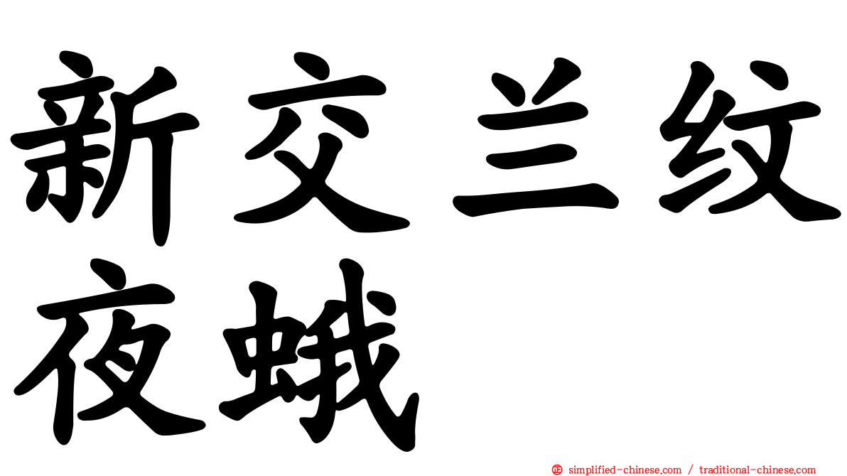 新交兰纹夜蛾