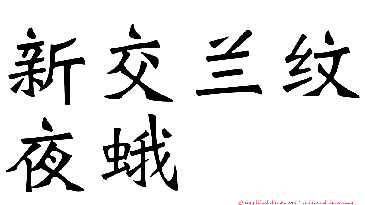 新交兰纹夜蛾