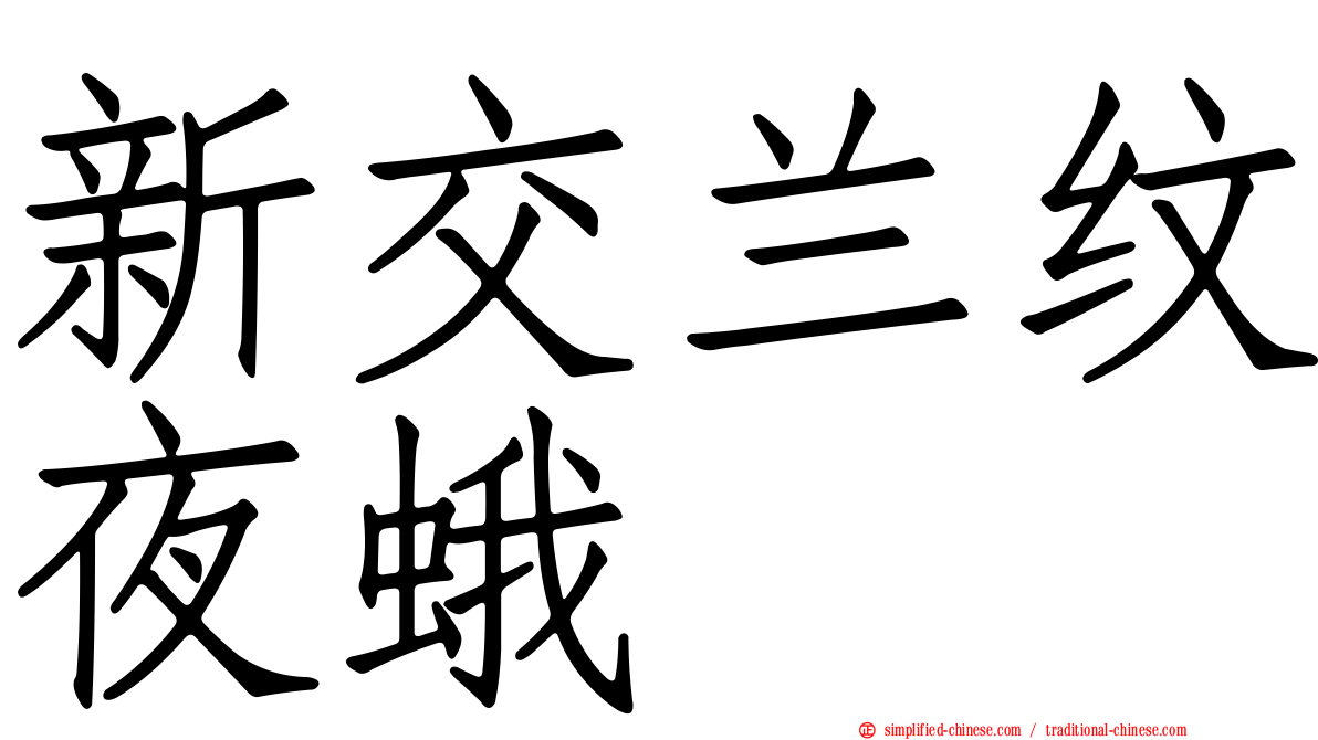 新交兰纹夜蛾