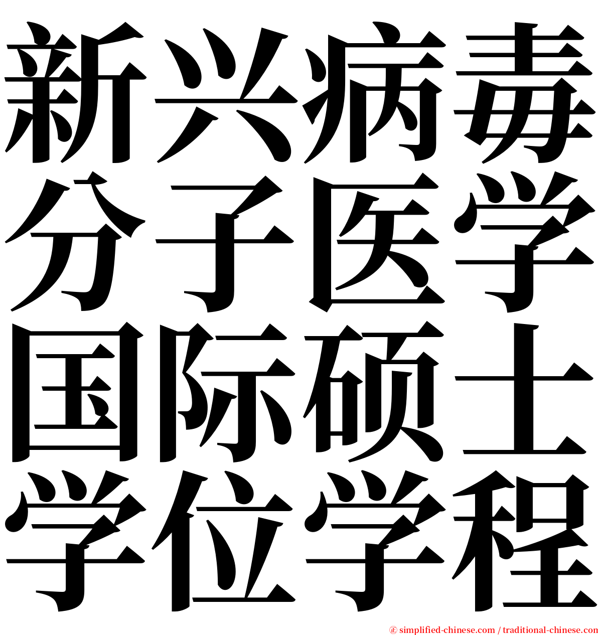 新兴病毒分子医学国际硕士学位学程 serif font