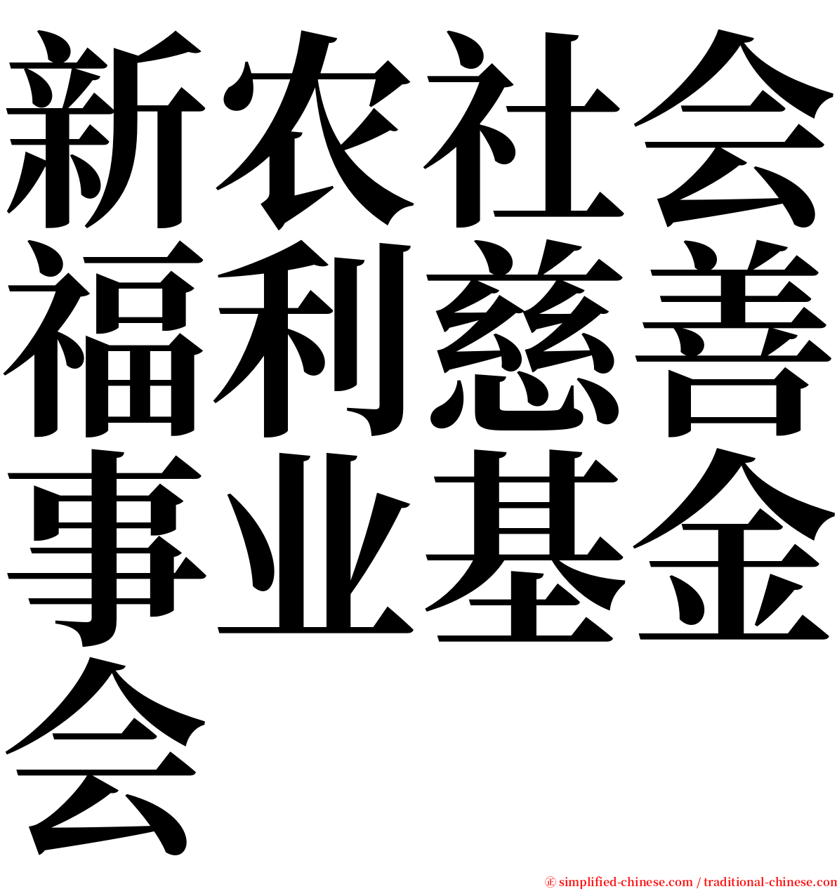 新农社会福利慈善事业基金会 serif font
