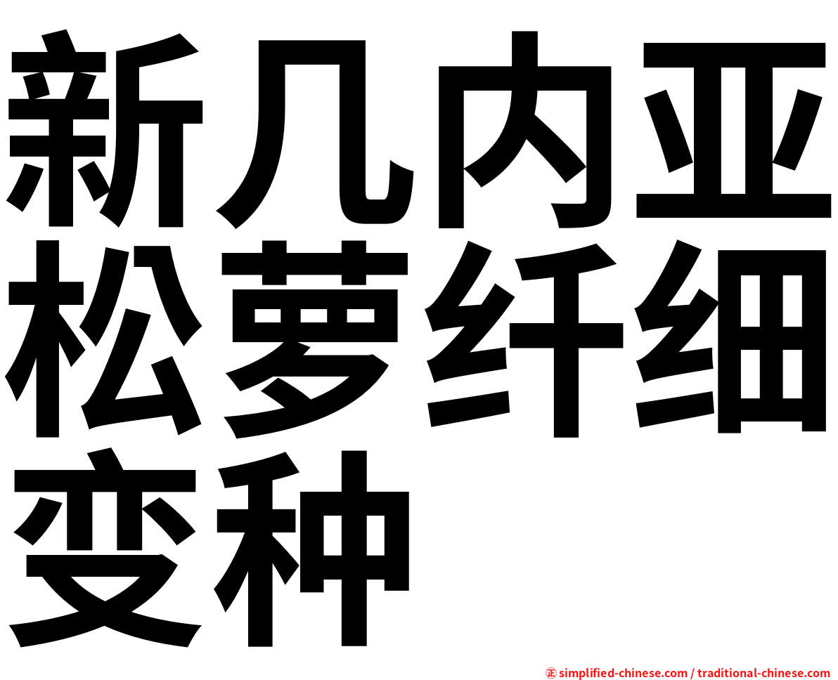 新几内亚松萝纤细变种