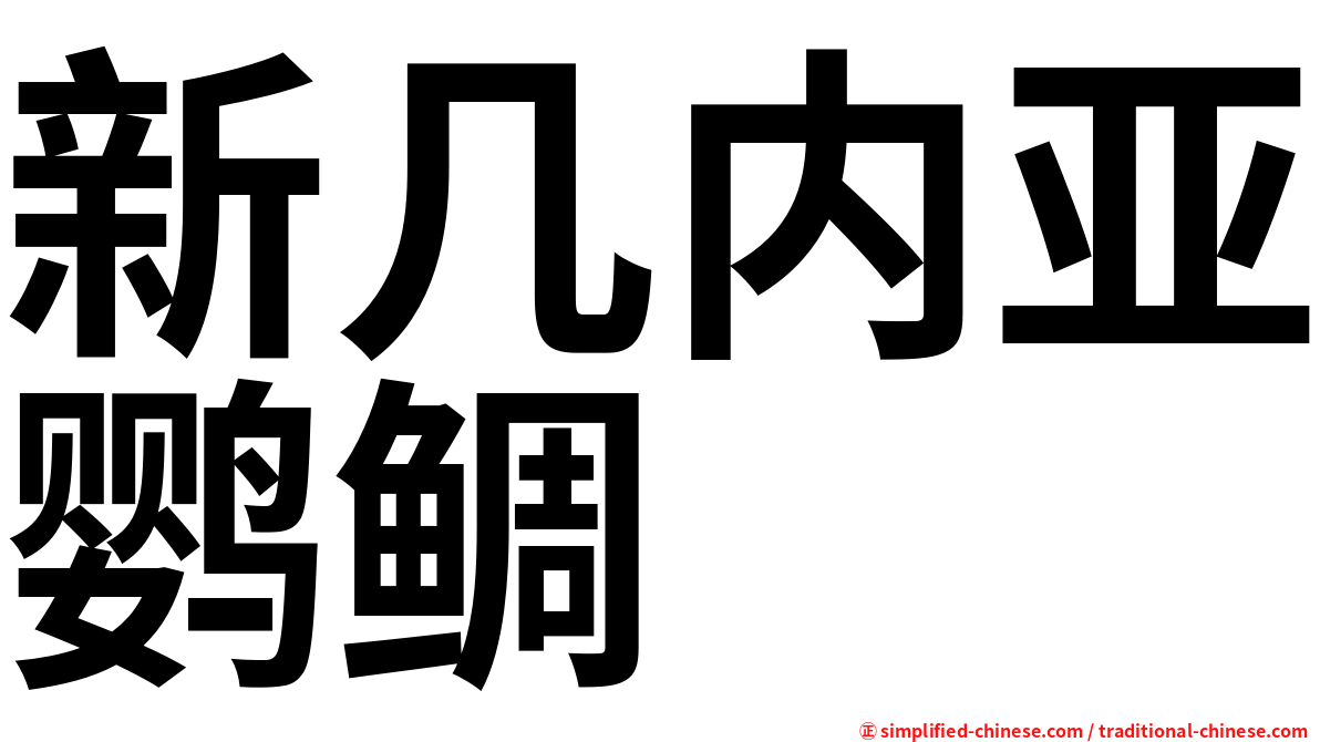 新几内亚鹦鲷