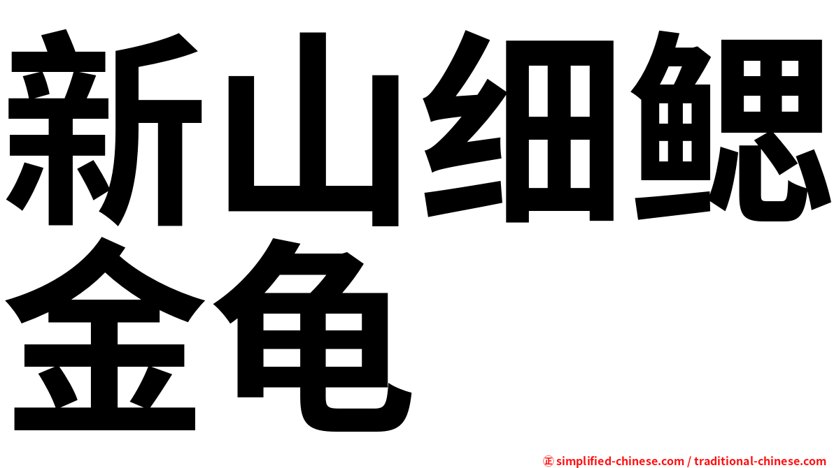 新山细鳃金龟