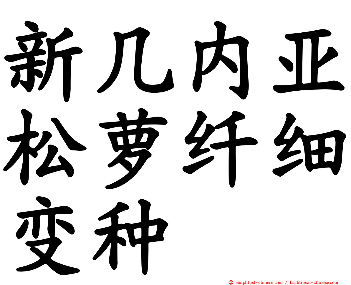 新几内亚松萝纤细变种