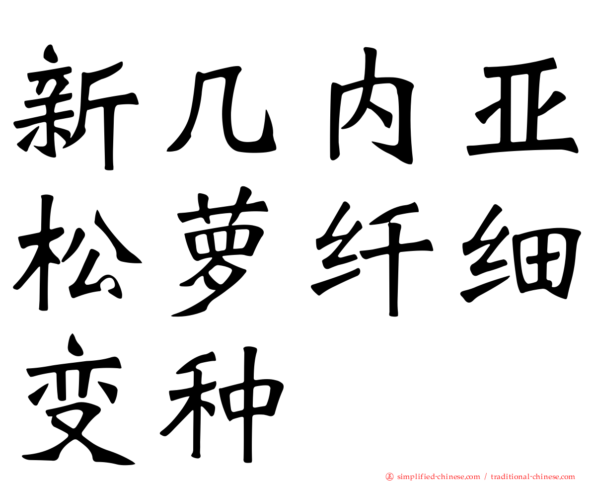 新几内亚松萝纤细变种