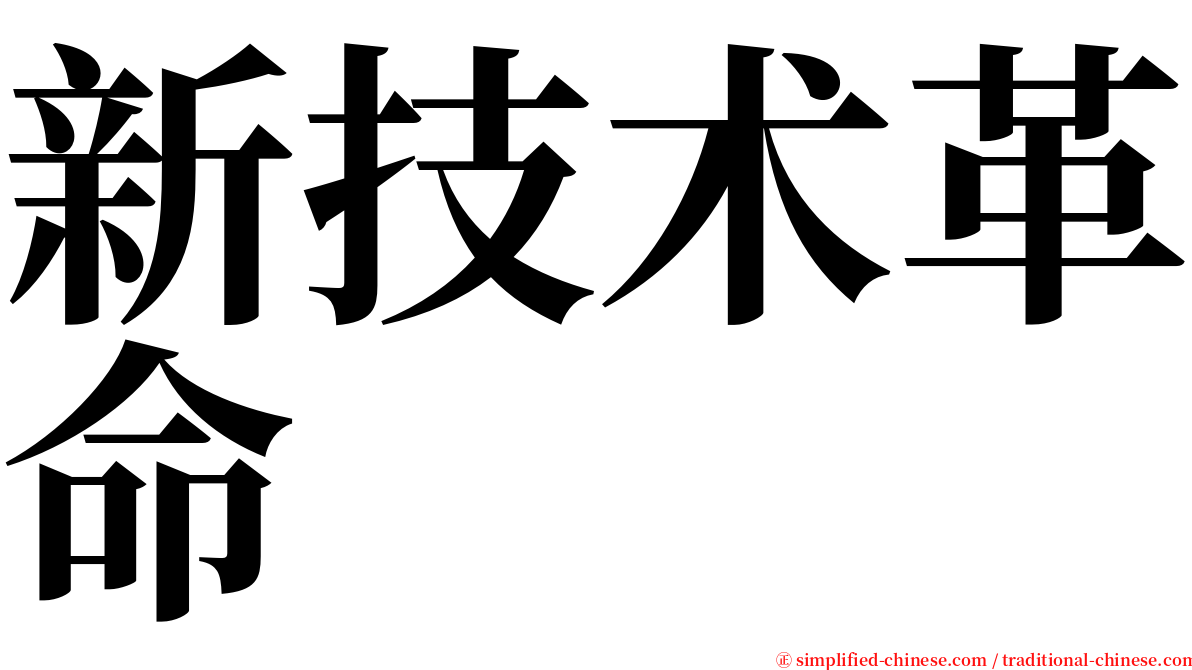 新技术革命 serif font