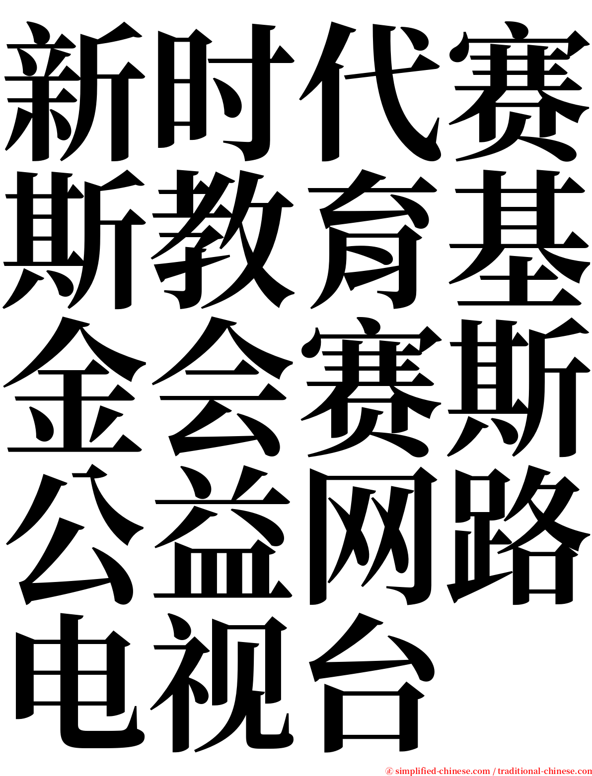新时代赛斯教育基金会赛斯公益网路电视台 serif font