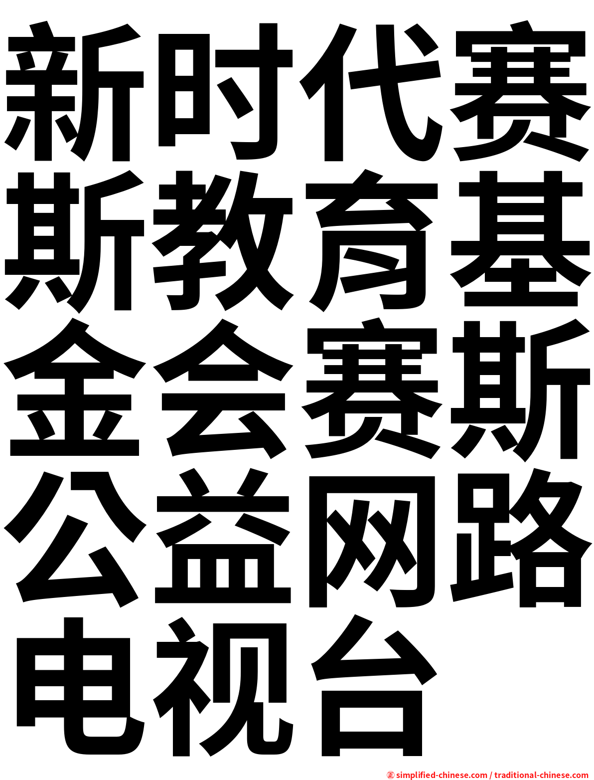 新时代赛斯教育基金会赛斯公益网路电视台