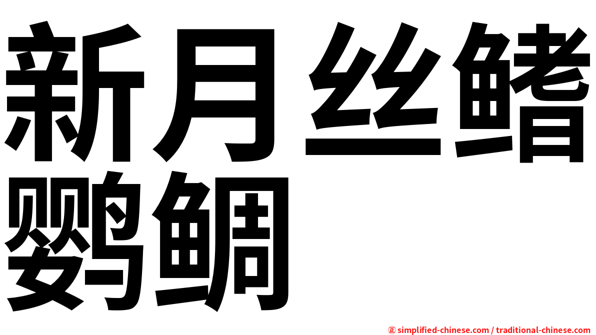 新月丝鳍鹦鲷