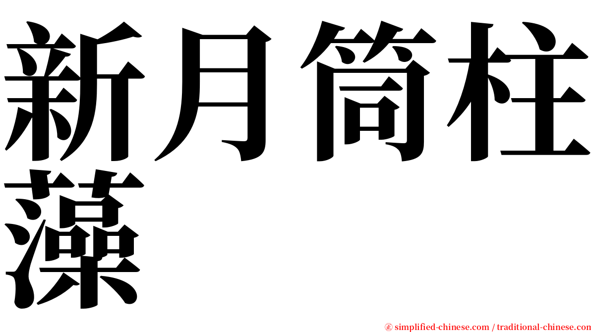 新月筒柱藻 serif font