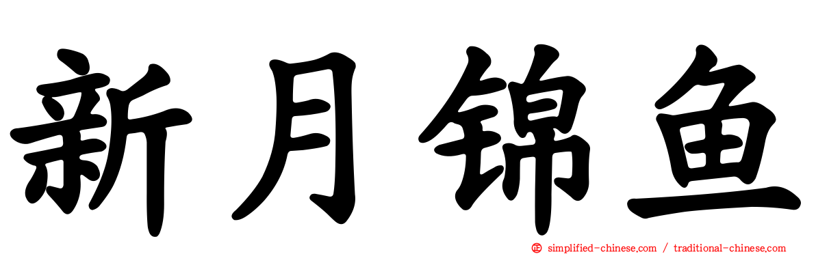 新月锦鱼