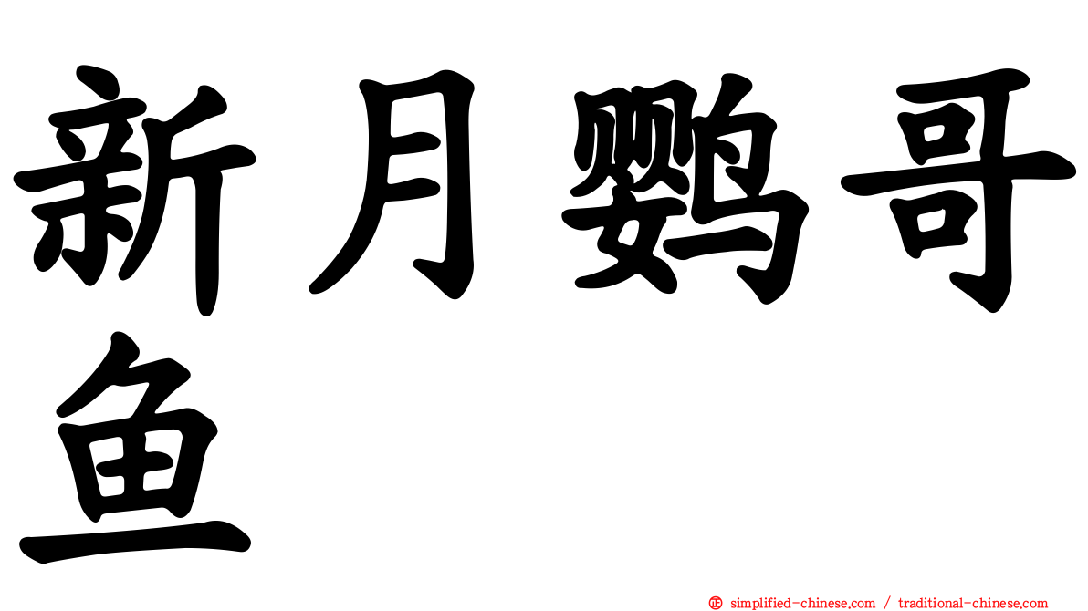 新月鹦哥鱼