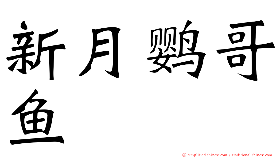 新月鹦哥鱼