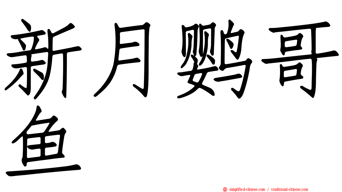 新月鹦哥鱼