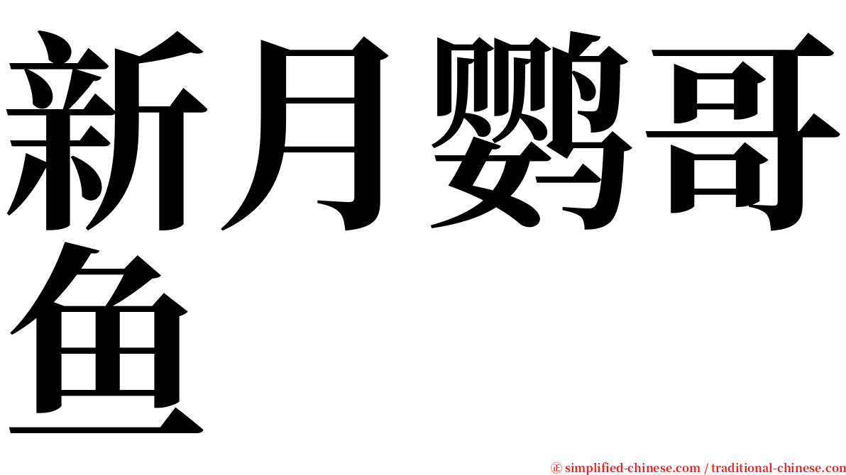 新月鹦哥鱼 serif font